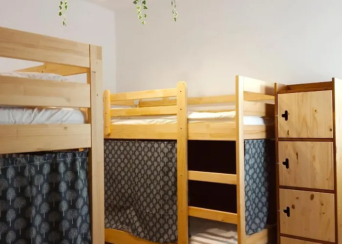 Vagamundo Hostel Los Llanos De Aridane