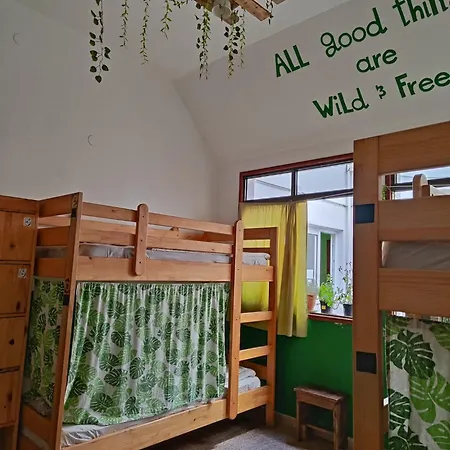 Vagamundo Hostel Los Llanos De Aridane