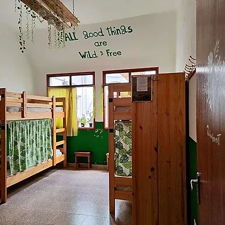 Auberge de jeunesse Vagamundo Los Llanos De Aridane