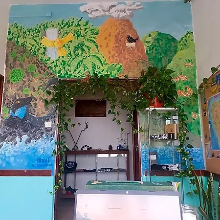 Vagamundo Auberge de jeunesse Los Llanos De Aridane