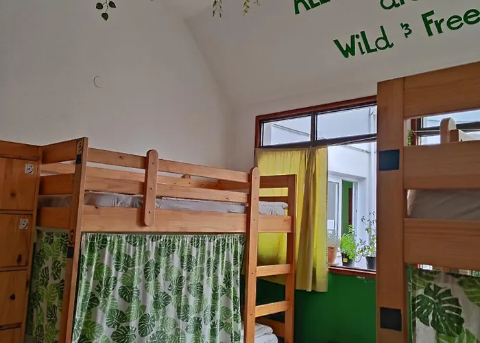 Vagamundo Hostal Los Llanos De Aridane